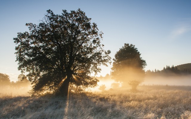 Nature. Desktop wallpaper