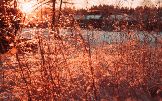 Nature. Desktop wallpaper