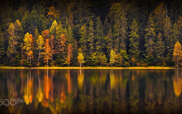 Nature. Desktop wallpaper