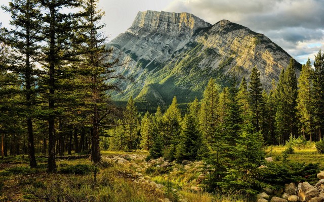 Nature. Desktop wallpaper