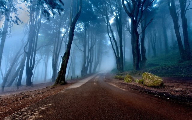 Nature. Desktop wallpaper