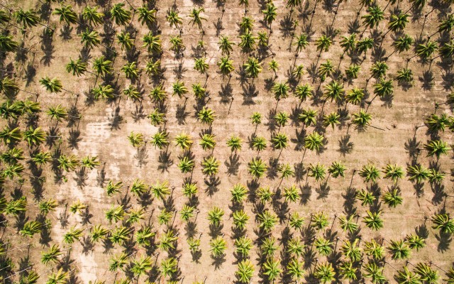 Nature. Desktop wallpaper