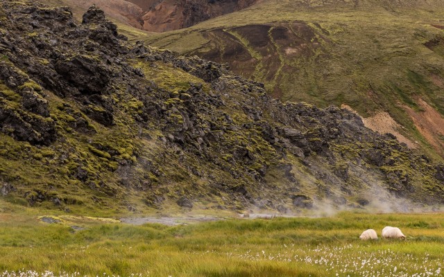 Nature. Desktop wallpaper