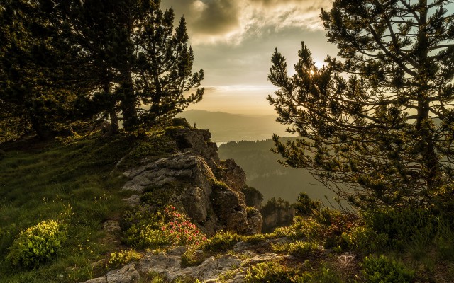 Nature. Desktop wallpaper
