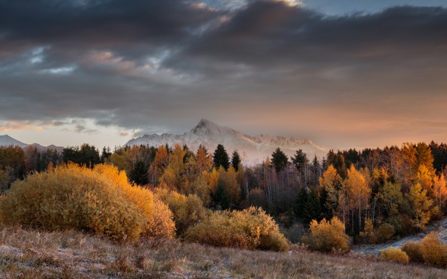 Nature. Desktop wallpaper