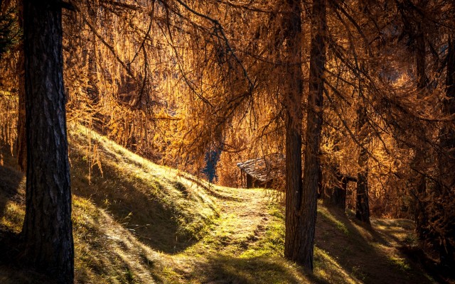 Nature. Desktop wallpaper