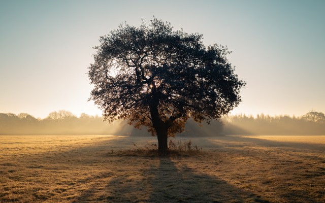 Nature. Desktop wallpaper