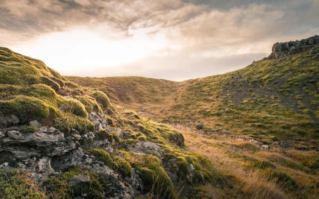 Nature. Desktop wallpaper