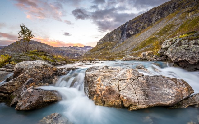Nature. Desktop wallpaper