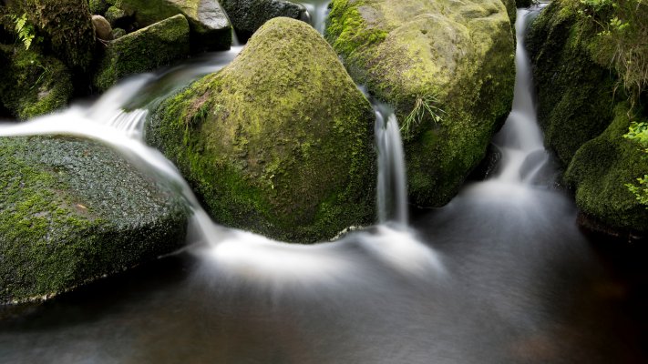 Nature. Desktop wallpaper