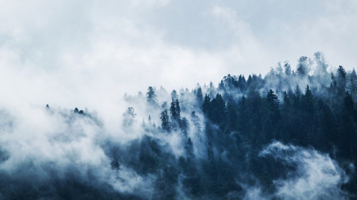Nature. Desktop wallpaper