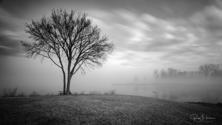 Nature. Desktop wallpaper