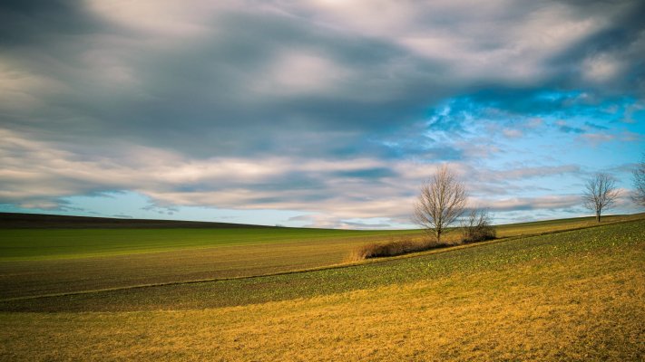 Nature. Desktop wallpaper