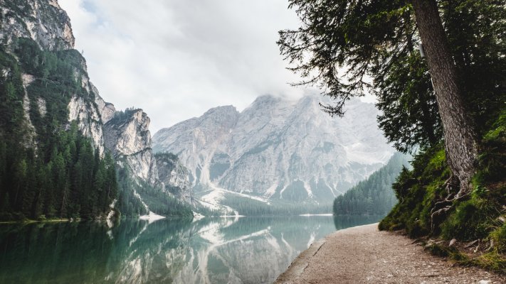 Nature. Desktop wallpaper