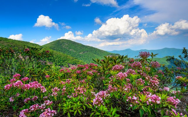 Nature. Desktop wallpaper