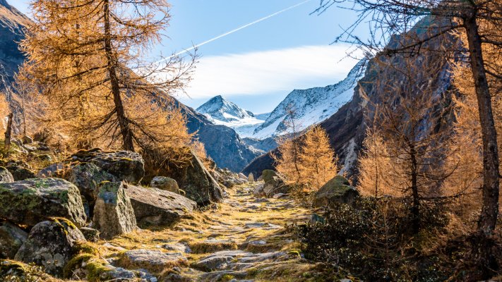 Nature. Desktop wallpaper