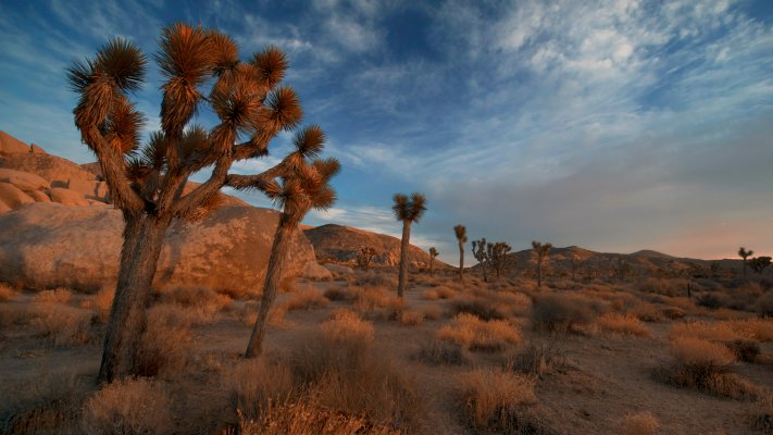 Nature. Desktop wallpaper