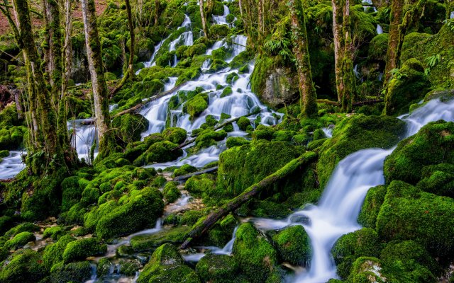 Nature. Desktop wallpaper