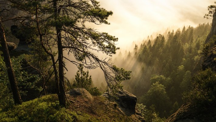 Nature. Desktop wallpaper