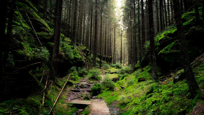 Nature. Desktop wallpaper