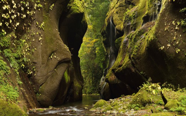 Nature. Desktop wallpaper