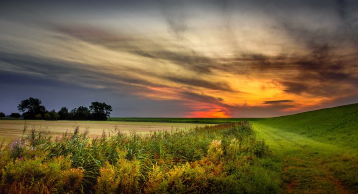 Nature. Desktop wallpaper