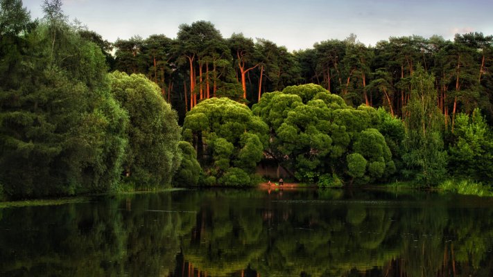 Nature. Desktop wallpaper