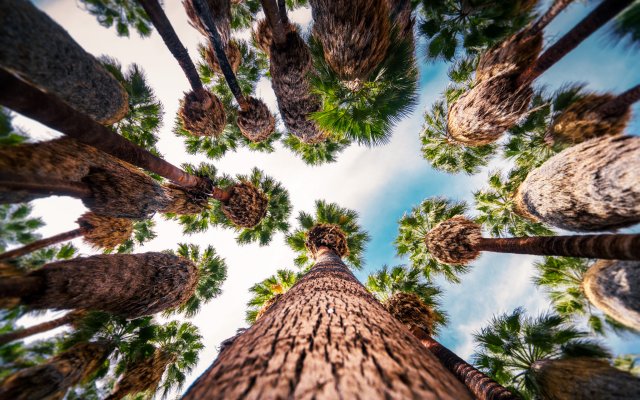Nature. Desktop wallpaper