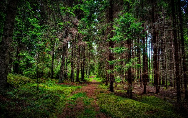 Nature. Desktop wallpaper