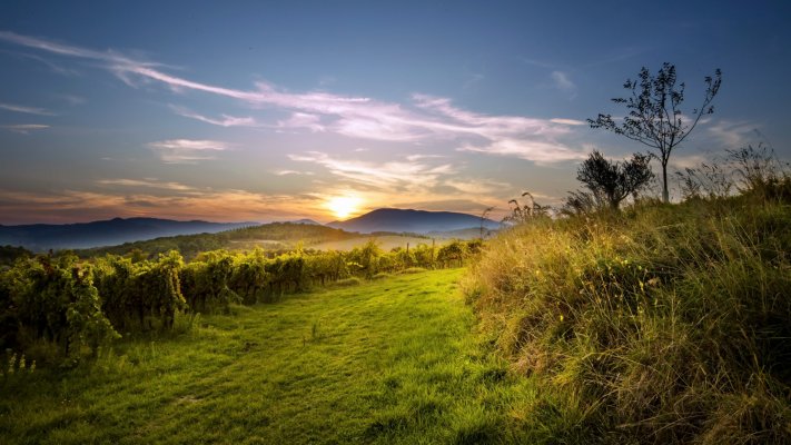 Nature. Desktop wallpaper