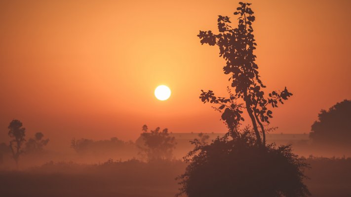 Nature. Desktop wallpaper
