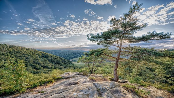 Nature. Desktop wallpaper