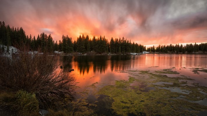 Nature. Desktop wallpaper