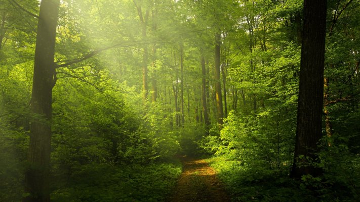 Nature. Desktop wallpaper
