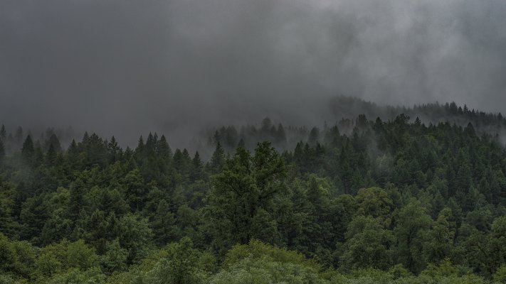Nature. Desktop wallpaper