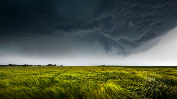 Nature. Desktop wallpaper