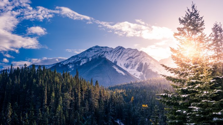 Nature. Desktop wallpaper
