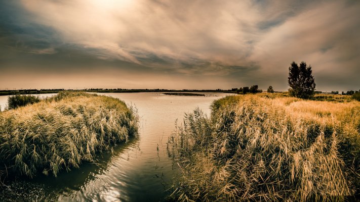 Nature. Desktop wallpaper