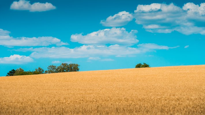 Nature. Desktop wallpaper