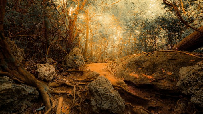 Nature. Desktop wallpaper