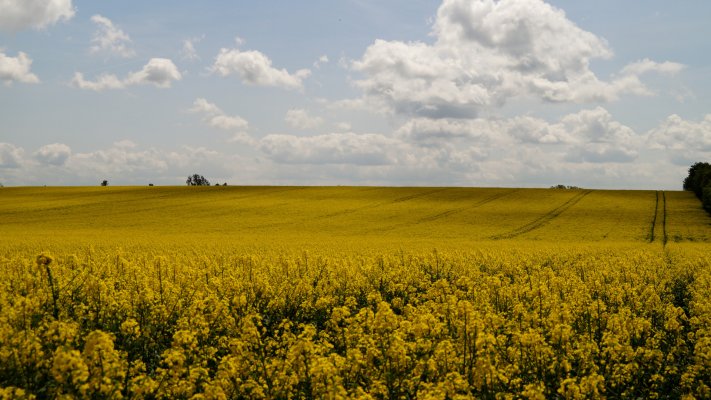 Nature. Desktop wallpaper