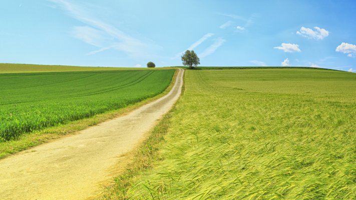 Nature. Desktop wallpaper