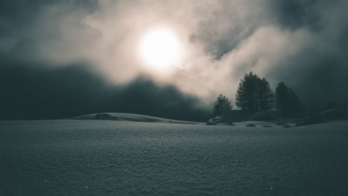 Nature. Desktop wallpaper