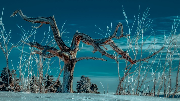 Nature. Desktop wallpaper