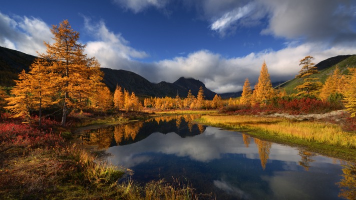 Nature. Desktop wallpaper