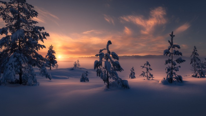 Nature. Desktop wallpaper