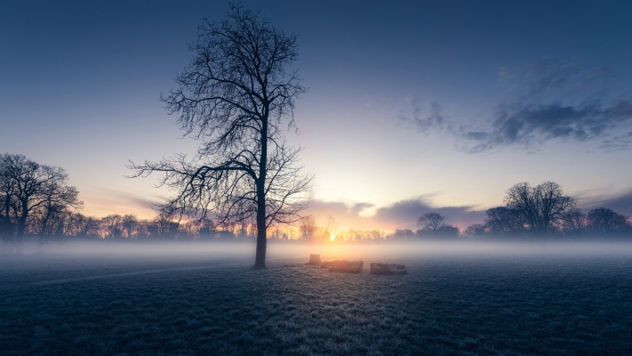 Nature. Desktop wallpaper
