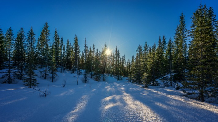 Nature. Desktop wallpaper