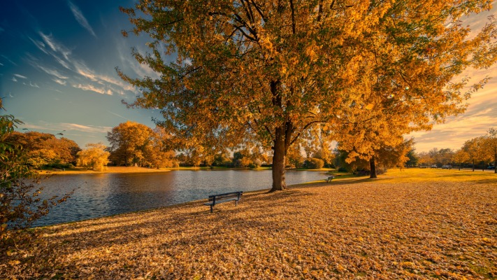 Nature. Desktop wallpaper