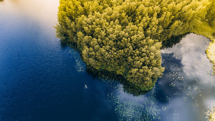 Nature. Desktop wallpaper